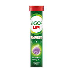 VIGOR UP! ENERGIA 20TABLETEK MUSUJĄCYCH (SMAK OWOCÓW LEŚNYCH)