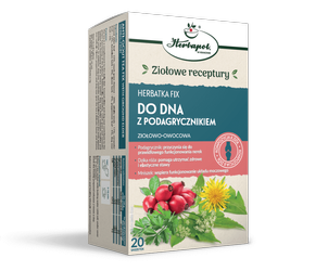 HERBATKA DO DNA Z PODAGRYCZNIKIEM 20SASZETEK