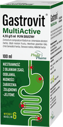 GASTROVIT MULTIACTIVE (ARTECHOLIN N) 100ML