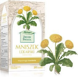 MNISZEK LEKARSKI FIX 20SASZETEK
